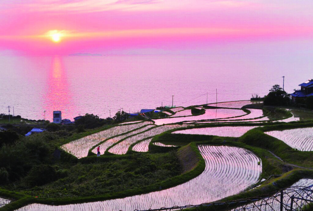 「夕照拓道を活用した桜景色づくりの会」の挑戦 「夕照拓道を活用した桜景色づくりの会」の挑戦